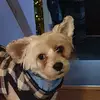 Steve Houchin - @steve.houchin - TikTok