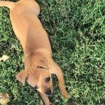 Steven Huerta - @stevenhuerta1 - Instagram