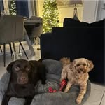 Steven Humble - @stevenhumble79 - Instagram
