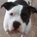 Steven Humphries - Facebook
