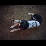 Steven Humphries - @lickemgood865 - Instagram