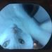 Steven Hunn - Facebook