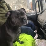 Steven Hunter - @stevenhunter9863 - Instagram