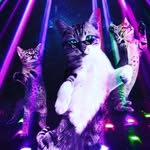Juan Gabriel de mattolnift - @steven_husking - Instagram