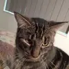 Steven John Hutter - @steven.john.hutte - TikTok