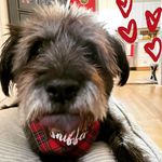 Steven Iannuzzi - @ispi35 - Instagram