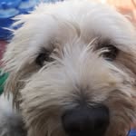 Leo Steven Roberth Ibáñez Liñán - @leotontin - Instagram