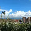 steven_ibanez - @steven_ibanez - TikTok