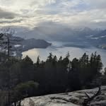 Steve Nickel - @steve.nickel - Instagram