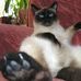 Steven Ide - Facebook