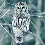 Steven Ignacio - @stevo671__ - Instagram