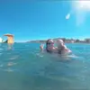 Steven Innes - @steven.innes - TikTok