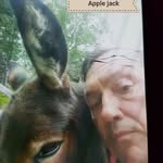 Steven Isles - @stevenisles - Instagram