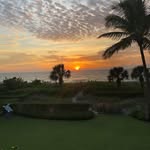 Steve Iverson - @papaivy - Instagram