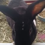 Steven jackman - @stevros63 - Instagram