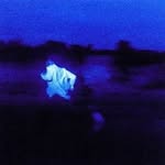 Steven Jackman - @stevenjckman - Instagram