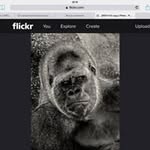 Steven Jackman - @stevejackman007 - Instagram