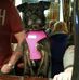 Steve Jagger - Facebook