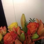 Steven Jagger - @stevenjagger - Instagram