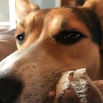 Steven Jaggers - @steven.jaggers.505 - Instagram