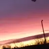 Steven Janis - @steven.janis6 - TikTok