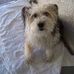 Steve Jarrard - Facebook