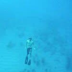 steven jarrard - @stevenjarrard - Instagram