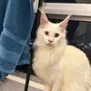 Steven Jee - @steven.jee5 - TikTok