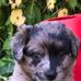 Steven Jenson - Facebook