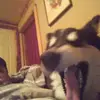 Steve Jester - @stevejester0 - TikTok