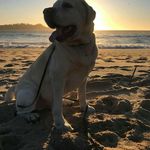 steven jester - @stevenjester1234 - Instagram