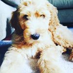 steven - @steven_k_jester - Instagram