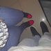 Joiner Steven - Facebook