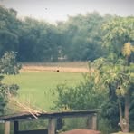 Steven Joy - Facebook