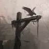 Steven Jurick - @stevenjurick - TikTok