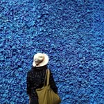 Chin Chih Teng - @stevenjudy5683 - Instagram