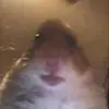igav.vend14 - @stevenkanna - TikTok