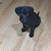 Steven Karim - Facebook