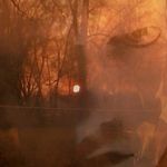 Steven Karnes - @karnivll - Instagram