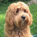Steven Kaser - Facebook