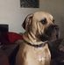 Steven Keaton - Facebook