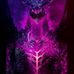 Steven Kehr - Facebook