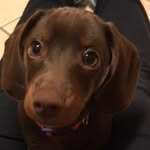 Steve Kellett - @steve.kellett.161 - Instagram