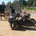Steve Kellett - @stevekellett4875 - Instagram