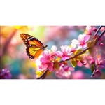 Steven Kimball Kellett - @stevenkimball3232 - Instagram