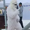 Steve Kemper - @steve.kemper - TikTok