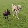 stevenkenward733 - @stevenkenward733 - TikTok