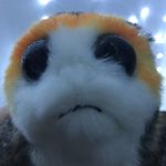 Steven Wilkinson-Kieś - @steventheporg - Instagram