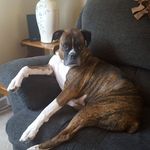 Steven Kile - @kile.steven - Instagram