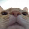 Steven Kinsey - @stevenkinsey63 - TikTok